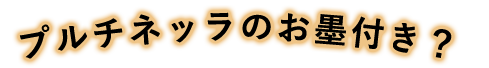 プルチネッラのお墨付き？